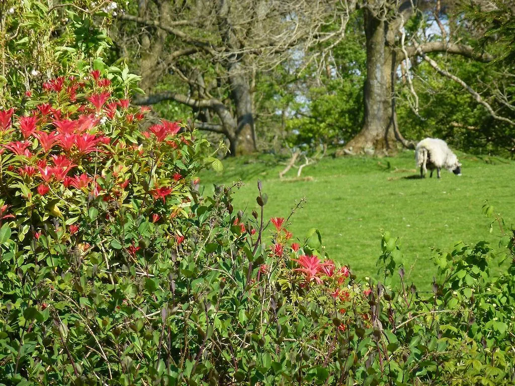 The Head At Middleton Bed and Breakfast Sedbergh Bed & Breakfast