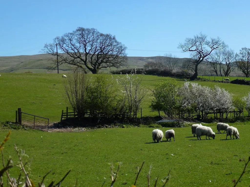 The Head At Middleton Bed and Breakfast Sedbergh Storbritannien